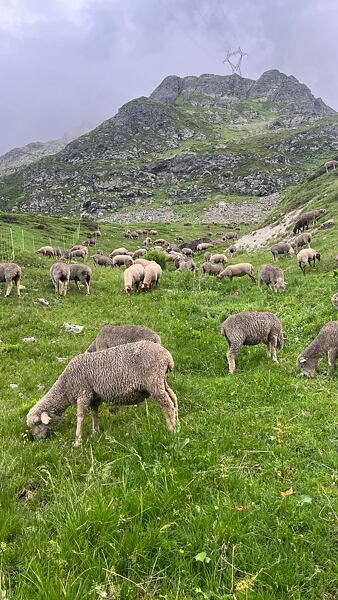 tour-du-mont-blanc