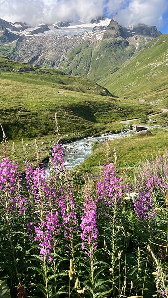 tour-du-mont-blanc