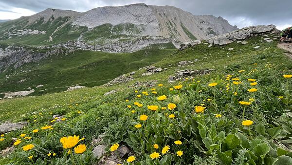 tour-du-mont-blanc