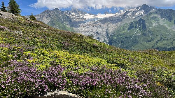 tour-du-mont-blanc