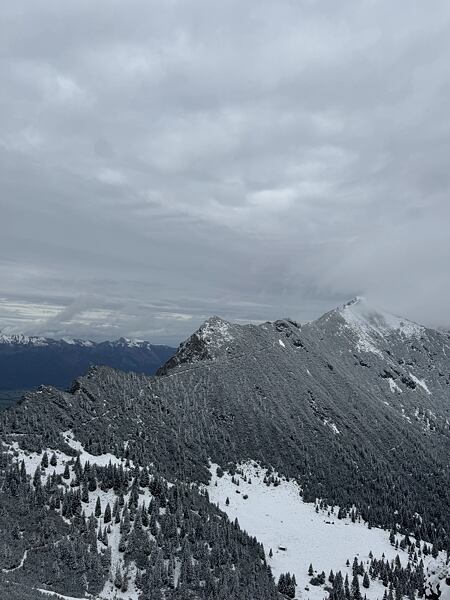 Drei Schwestern